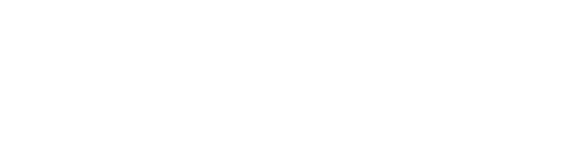 Holding Lead Group S.A.